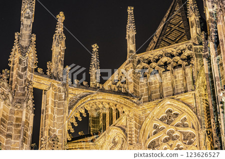 Prague landmark St. Vitus Cathedral in Hradcany 123626527