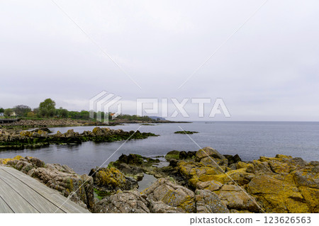 Coast line of sea. Stones covered with yellow and green moss and cloudy sky. 123626563