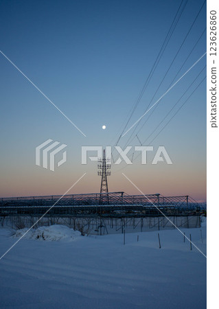 白雪覆蓋的田野和電線塔 白雪覆蓋的田野和電線塔 123626860