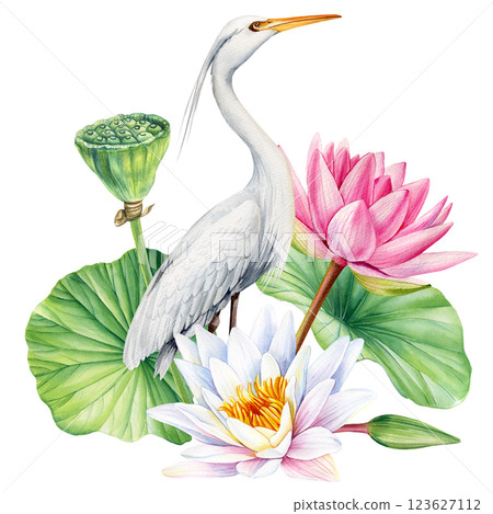 White heron standing among pink and white lotus flowers. Water lilies and birds. Watercolor Elegant greeting card design White heron standing among pink and white lotus flowers. Water lilies and birds. Watercolor Elegant greeting card design 123627112
