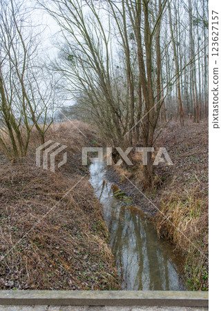 Landscape of an unusually snow-less february day in forest, frozen winter stream Landscape of an unusually snow-less february day in forest, frozen winter stream 123627157