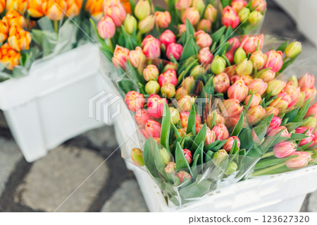 Close-up rows fresh yellow Dutch tulip bouquets wrapped white paper vibrant street flower market sale. Lot multicolored tulips bouquets. Floral blooming wholesale retail plant store. Florist service Close-up rows fresh yellow Dutch tulip bouquets wrapped white paper vibrant street flower market sale. Lot multicolored tulips bouquets. Floral blooming wholesale retail plant store. Florist service 123627320