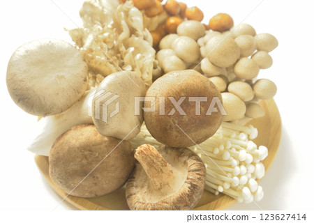 Assorted mushrooms on a wooden plate 123627414