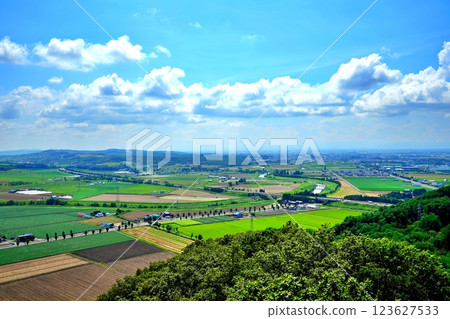 Panorama of the vineyards of Mikasa City, Hokkaido and the vast Sorachi Plain Panorama of the vineyards of Mikasa City, Hokkaido and the vast Sorachi Plain 123627533