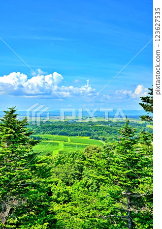 Panorama of the vast vineyards and Sorachi Plain in Mikasa City, Hokkaido 123627535
