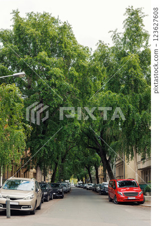 Charming Potsdam street displays leafy canopy and parked cars under bright summer sky. Towering trees and historic architecture create peaceful, tranquil atmosphere for relaxation and exploration 123627608
