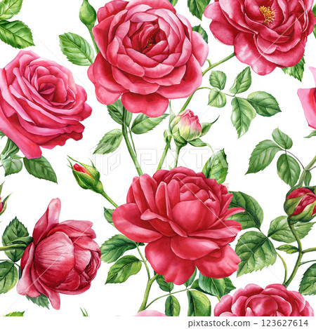 seamless pattern with red roses flowers, bud and leaves watercolor flora background. Beautiful floral textile design 123627614