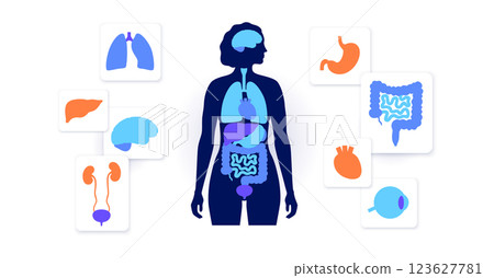 Human internal organs Human internal organs 123627781