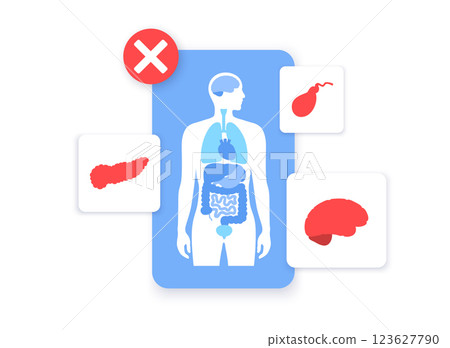 Human internal organs 123627790