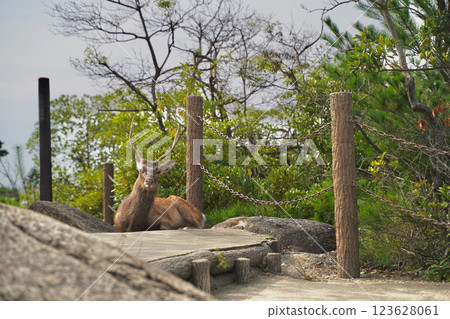 彌山，位於廣島縣宮島，是日本嚴島神社的所在地 123628061