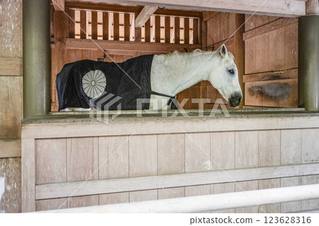 豐受大神宮(伊勢神宮外宮)馬厩 豐受大神宮(伊勢神宮外宮)馬厩 123628316
