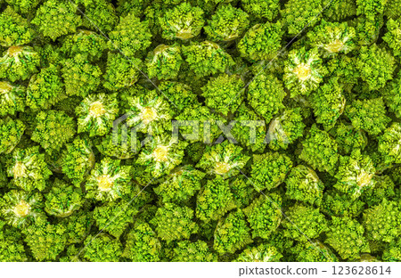 Romanesco broccoli background, wallpaper. 3D rendering 123628614
