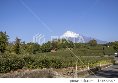 Mt. Fuji Obuchi Sasaba 123628907