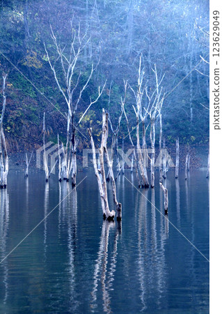 湖水 湖水 123629049