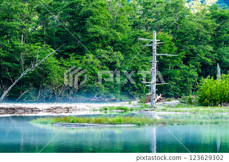 上高地的夏天：晨霧瀰漫的大正池 123629302