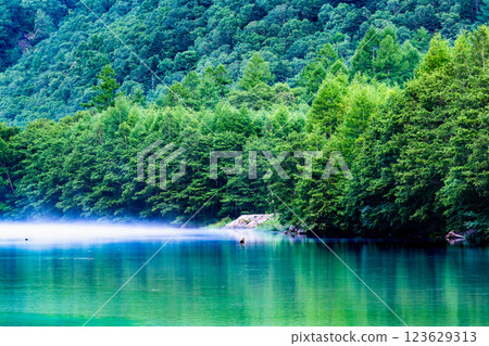 上高地的夏天:晨霧瀰漫的大正池 上高地的夏天:晨霧瀰漫的大正池 123629313