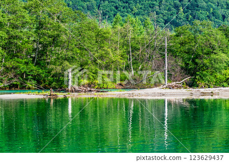 Kamikochi Taisho池塘在夏天 123629437