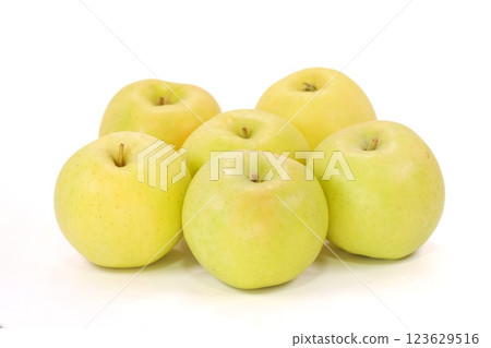 Yellow apples, Toki, Aomori Prefecture, bright background, multiple Yellow apples, Toki, Aomori Prefecture, bright background, multiple 123629516
