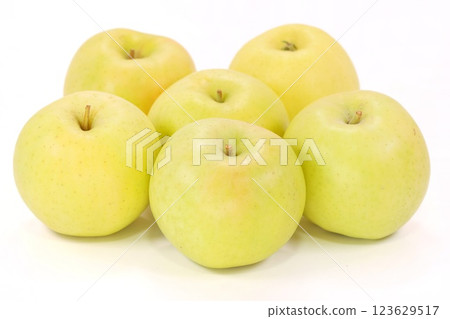 Yellow apples, Toki, Aomori Prefecture, bright background, multiple 123629517