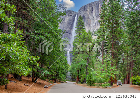 Yosemite National Park 123630045