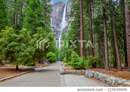 Yosemite National Park 123630046