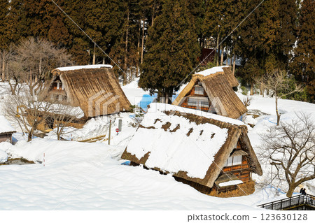 菅沼的積雪合掌屋 123630128