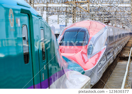 Tohoku Shinkansen and Akita Shinkansen Hayabusa and Komachi entering Omiya Station in Saitama Prefecture 123630377