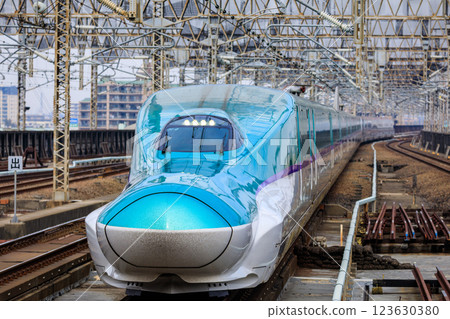 Tohoku Shinkansen and Akita Shinkansen Hayabusa and Komachi entering Omiya Station in Saitama Prefecture Tohoku Shinkansen and Akita Shinkansen Hayabusa and Komachi entering Omiya Station in Saitama Prefecture 123630380