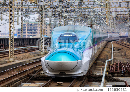 東北新幹線、秋田新幹線隼號、小町進入埼玉縣大宮站 123630381