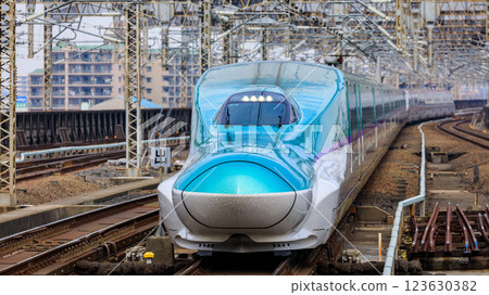 東北新幹線、秋田新幹線隼號、小町進入埼玉縣大宮站 123630382