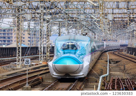 東北新幹線、秋田新幹線隼號、小町進入埼玉縣大宮站 123630383