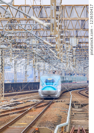 東北新幹線隼號駛入埼玉縣大宮站 東北新幹線隼號駛入埼玉縣大宮站 123630417