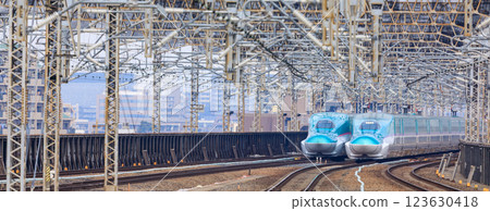 東北新幹線隼號駛入埼玉縣大宮站 123630418