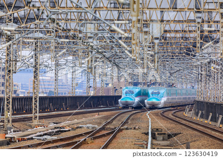 東北新幹線隼號駛入埼玉縣大宮站 東北新幹線隼號駛入埼玉縣大宮站 123630419