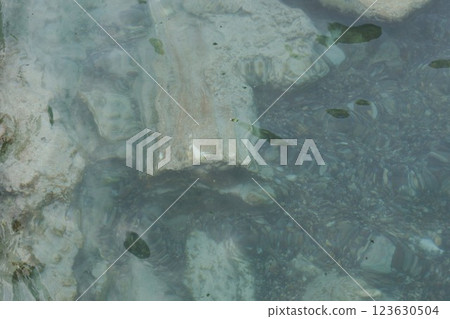 Türkiye Pamukkale Hierapolis ruins Antique pool ruins 123630504