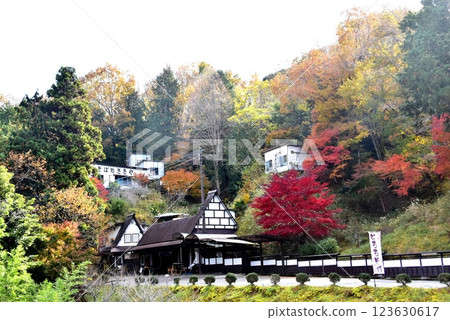 伊豆市 - 修善寺自然公園附近的蕎麥麵餐廳 Sasaya 和色彩繽紛的秋葉 123630617