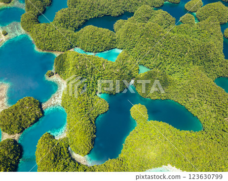 Beautiful transparent turquoise water in lagoon form of pools. Seascape with coral reefs. Bucas Grande Island. Mindanao, Philippines. 123630799