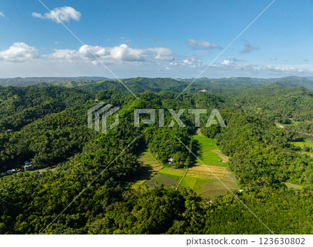 Agricultural fields and green forest in tropical island. Santa Fe, Tablas, Romblon. Philippines. 123630802