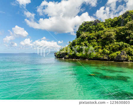 Greenish sea water in Tropical Island. Blue sky and clouds. El Nido, Palawan. Philippines. 123630803