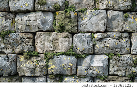A close-up view of a stone path with vibrant green moss and tiny plants. Generate AI 123631223