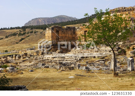 Türkiye, Pamukkale, Hierapolis ruins 123631330