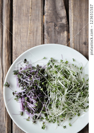 Cut broccoli sprouts and red cabbage sprouts 123631587