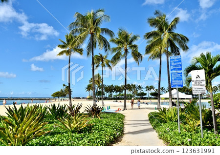 沙灘兩旁的棕櫚樹 沙灘兩旁的棕櫚樹 123631991