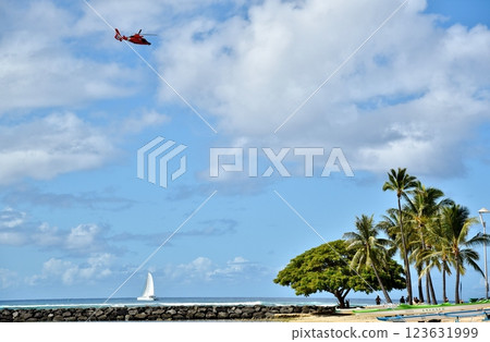 夏威夷的假期 夏威夷的假期 123631999