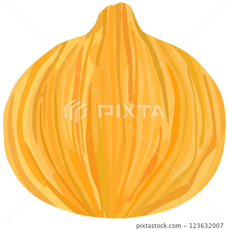 洋蔥單一向量素材 123632007