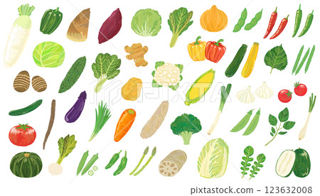 蔬菜集合向量素材 123632008