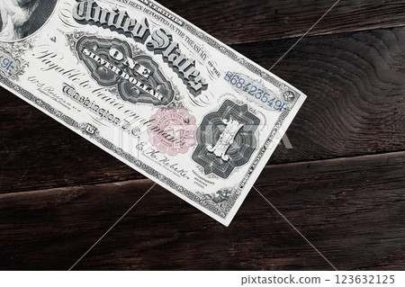 Wild west greenback US dollar paper money 123632125