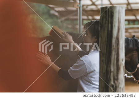 horse, brushing, female 123632492