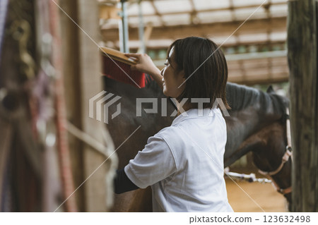 馬 馬兒 刷 123632498