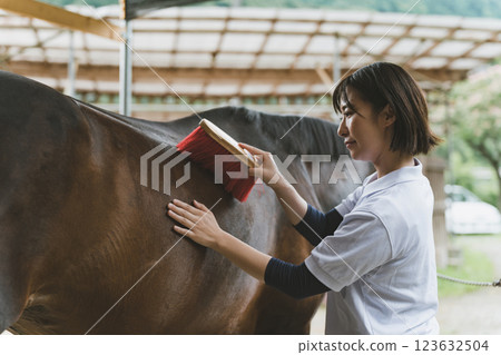 馬 馬兒 騎馬 123632504